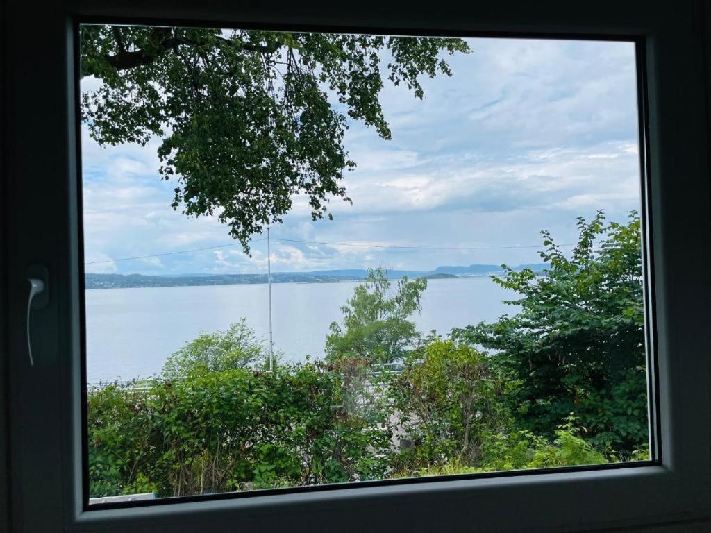 Nice Apartment With1 Bedroom Separate Living Room With A Sofa Bed And A Tiny Kitchen A Bathroom Located In Nordstrand Near By The Sea For 3 Guests With A Garden And Grill 5 Extra Guests With Extra Cost In The Cabin With Sea View Just Outside The Apar ออสโล ภายนอก รูปภาพ